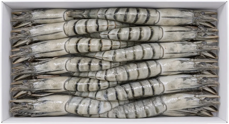 ARFISH Silver gamba’s met kop, doosje van 1 kg